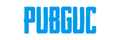 PUBGUC